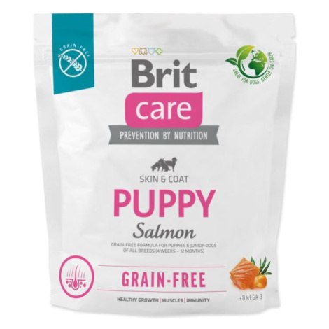 Krmivo Brit Care Dog Grain-free Puppy Salmon 1kg