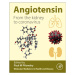 Angiotensin, From the Kidney to Coronavirus Elsevier