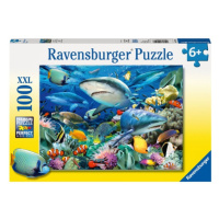 Žraločí útes 100 dílků Ravensburger