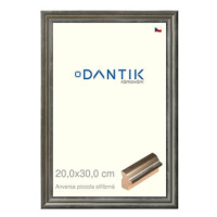 DANTIK rámeček 20 × 30, ANIVERSA piccola stříbrný sklo čiré