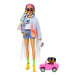 Barbie extra varianta 5 duhový copánek,pes v autíčku