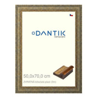 DANTIK rámeček 50 × 70, ZVRATNÝ bílozlatý plast plexi čiré