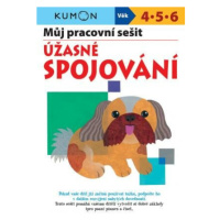 Úžasné spojování - Můj pracovní sešit - Giovanni K. Moto