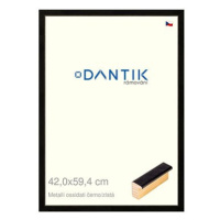 DANTIK rámeček 42 × 59,4, Metalli oidati černozlatý plexi čiré