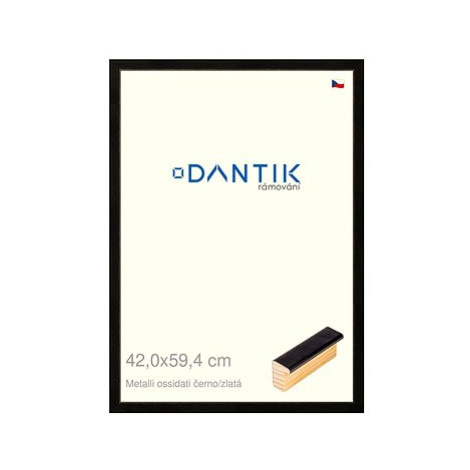 DANTIK rámeček 42 × 59,4, Metalli oidati černozlatý plexi čiré