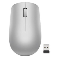 Lenovo 530 Wireless Mouse (Platinum Grey)