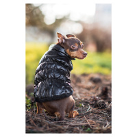 Vsepropejska Warm zimní bunda pro psa s kožichem Barva: Černá, Délka zad (cm): 24, Obvod hrudník