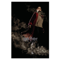 Umělecký tisk Harry Potter and the Goblet of Fire - Krum, 26.7 × 40 cm