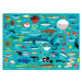 Mudpuppy Puzzle - Život v oceáně (1000 dílků)