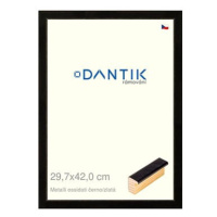 DANTIK rámeček 29,7 × 42, Metalli oidati černozlatý plexi čiré