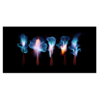 Fotografie Burning magic potion, Floriana Barbu, 40 × 20 cm