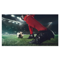 Fotografie Close up football or soccer player, anton5146, 40x22.5 cm