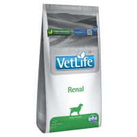 Farmina Vet Life Dog Renal 12 kg