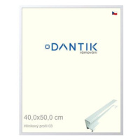 DANTIK rámeček 40 × 50, ALU profil 7003 Bílý matný sklo čiré