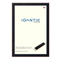 DANTIK rámeček 20 × 30, ANDRE černý sklo čiré