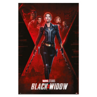 Plakát, Obraz - Black Widow - Nedokončený úkol, (61 x 91.5 cm)