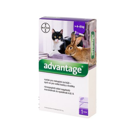 Advantage 1 × 0,8 ml – spot-on pro velké kočky a králíky