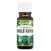 Saloos Veselé vánoce 10 ml