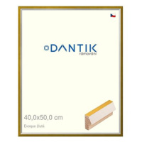 DANTIK rámeček 40 × 50, EVOQUE žlutý plexi čiré