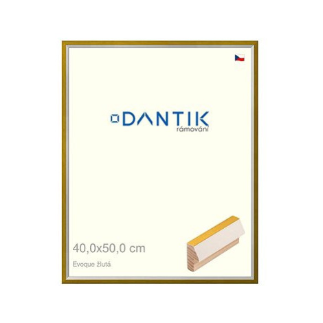 DANTIK rámeček 40 × 50, EVOQUE žlutý plexi čiré