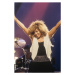 Fotografie Tina Turner, 1986, 26.7 × 40 cm