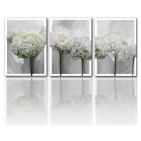 Obraz na plátně HORTENZIE bílé květy set 3 kusy různé rozměry Ludesign ludesign obrazy: 3x 50x70