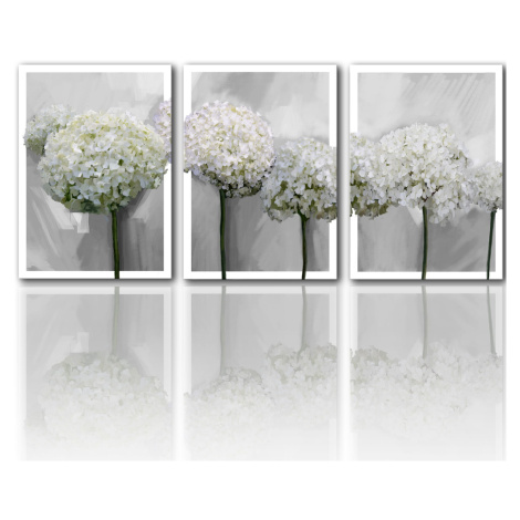 Obraz na plátně HORTENZIE bílé květy set 3 kusy různé rozměry Ludesign ludesign obrazy: 3x 50x70