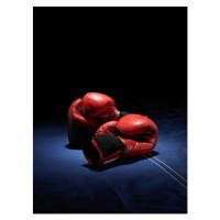 Umělecká fotografie Red boxing gloves, Phil Ashley, (30 x 40 cm)