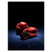 Fotografie Red boxing gloves, Phil Ashley, 30x40 cm