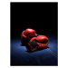 Fotografie Red boxing gloves, Phil Ashley, 30 × 40 cm