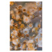 Umělecká fotografie Dry plants with orange tone, Javier Pardina, (26.7 x 40 cm)