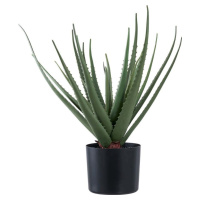 Umělá rostlina (výška 51 cm) Aloe Vera – House Nordic