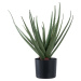 Umělá rostlina (výška 51 cm) Aloe Vera – House Nordic