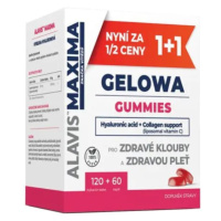 ALAVIS MAXIMA GELOWA GUMMIES žvýkací tbl.120 + cps.60