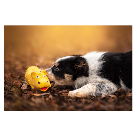 Vsepropejska Hakuna pískací zvíře pro psa Barva: Žlutá