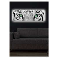 Hanah Home Obraz s led osvětlením White Tiger 90x30 cm