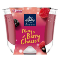 GLADE Maxi Berry 224 g