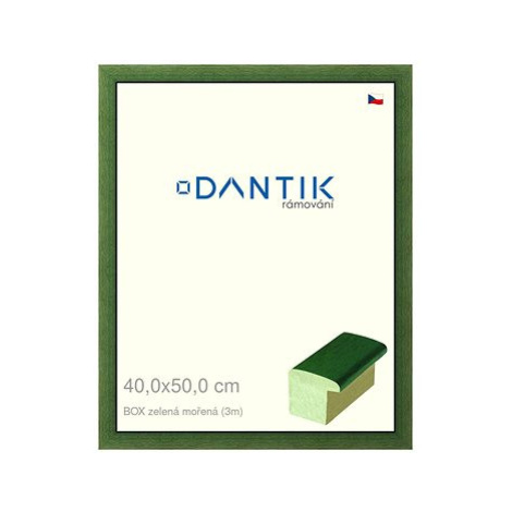 DANTIK rámeček 40 × 50, BOX zelený mořený plexi čiré