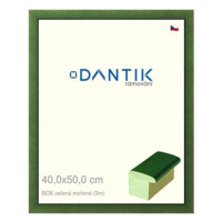 DANTIK rámeček 40 × 50, BOX zelený mořený plexi čiré