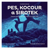 Pes, kocour a sirotek |