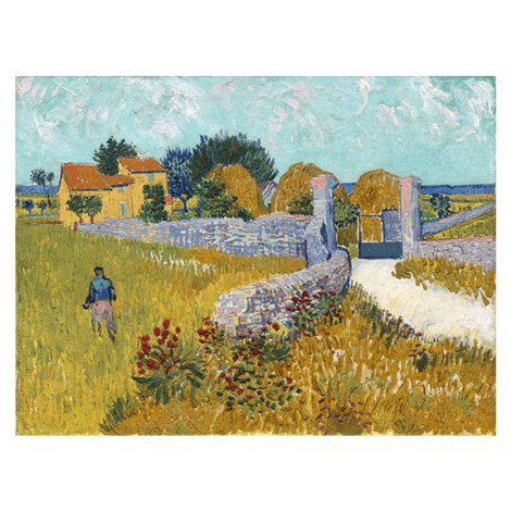 Reprodukce obrazu Vincenta van Gogha - Farmhouse in Provence, 40 x 30 cm Fedkolor