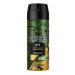 AXE Wild Green Mojito & Cedarwood deodorant 150 ml