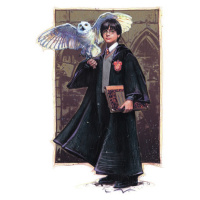 Umělecký tisk Harry Potter with Hedvig - Art, 26.7 × 40 cm