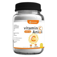 Anixi vitamin C 500mg cps.60