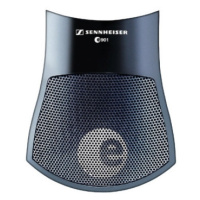 Sennheiser E901