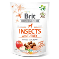 Brit Crunchy Snack Insects with Turkey and Apples - 200g