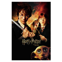 Umělecký tisk Harry Potter - Chamber of secrets, (26.7 x 40 cm)