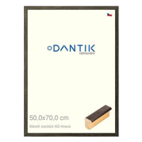 DANTIK rámeček 50 × 70, Metalli oidati AG tmavý plexi čiré