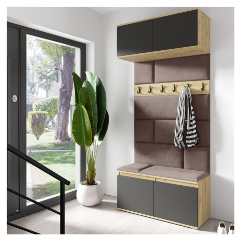 Eka Předsíňová stěna s čalouněnými panely Trinity 23 - Dub Artisan s černou / Světlá hnědá 2306