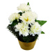 Dušičková dekorace s chryzantémami 23 x 22 cm, bílá